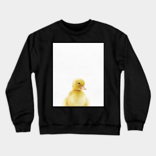 Baby Duck, Nursery, Animal, Kids room, Modern art, Wall decor Crewneck Sweatshirt